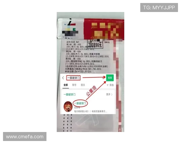追踪巴西甲级联赛最新比赛结果